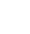 Years of production export experience